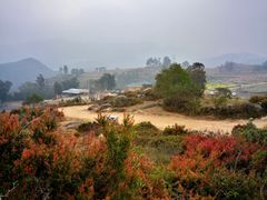 -大姆山草场