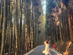 -山王坪喀斯特国家生态公园