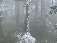 -瓦屋山景区