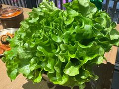 -西塔老太太泥炉烤肉(沈阳店)