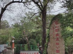 -鲁山国家森林公园