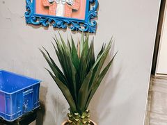 -阙记三毛蒸虾·烧烤湖北菜