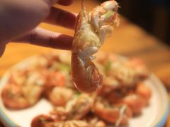 白灼蝼沟虾-松云居