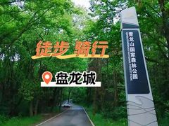 -青龙山国家森林公园