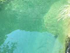 -白云源风景区