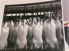 -大碗居·烤鸭·鱼头泡饼(天坛东门店)