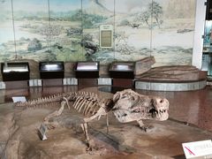 -自贡恐龙博物馆
