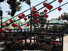 -枇杷园食为鲜火锅(南山店)