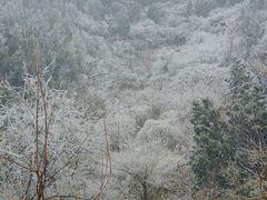 -龙洞风景区-藏龙涧