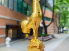 -西安电影制片厂