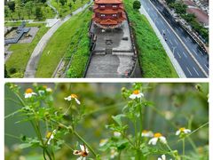 -胜记菜馆(文明路)