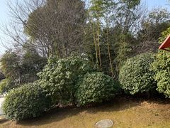 -武汉园博园(武汉自然博物馆)