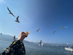 -滇池海埂公园