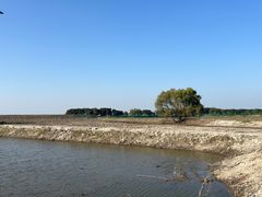 -同里国家湿地公园