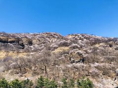 -妙峰山风景名胜区