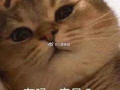 -大快活(罗湖商业城分店)
