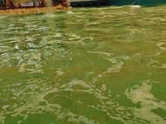 -中国死海旅游度假区