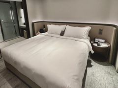 -南京THE TAI太和紫金大酒店