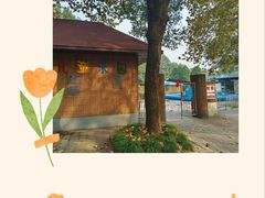 -上海共青森林公园