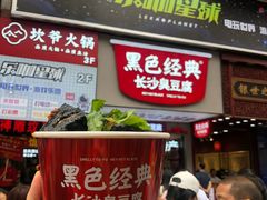 -黑色经典臭豆腐·湖南特产(步行街店)