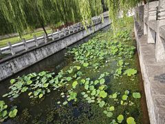 -百泉景区
