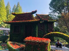 -东平国家森林公园