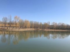 -东郊湿地公园