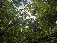 -高荡千年布依古寨旅游景区