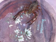 -同銮特种养殖场·龙虾垂钓