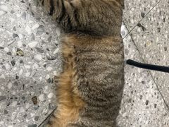 -王尔德与花