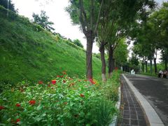 -河北省园博园