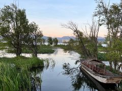 -洱海月湿地公园