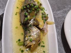 -老绍兴养和饭店(向阳不夜城店)