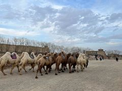 -镇北堡西部影城