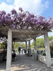 -玄武湖景区-情侣园游乐场