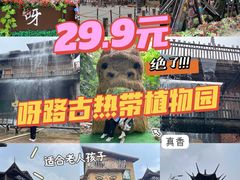 -呀路古热带植物园