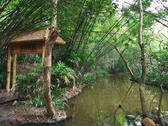 -大屏嶂森林公园