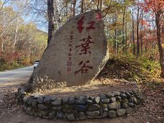 -凤凰山国家森林公园