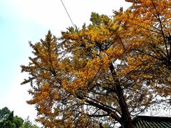 -金堂县云顶石城风景区