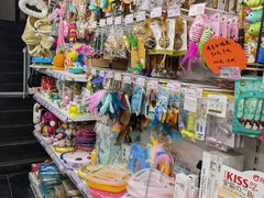 -中环花鸟鱼虫市场