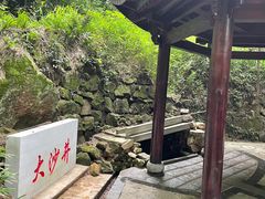 -南山植物园
