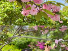 -杭州城北体育公园