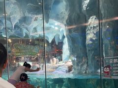 -帝企鹅自助餐厅•儿童岛•真企鹅(长隆企鹅酒店)