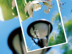 -海棠花溪(元大都城垣遗址公园)