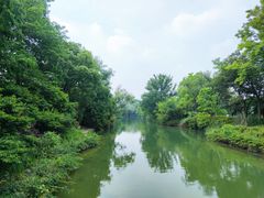 -西溪国家湿地公园