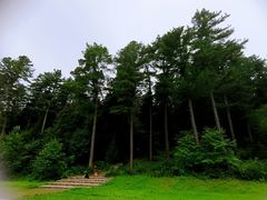 -五营国家森林公园