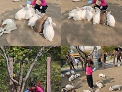 -茅山东方盐湖城景区