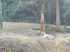 -杭州野生动物世界