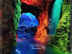 -沈阳海洋探索中心