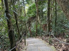 -七仙岭温泉国家森林公园